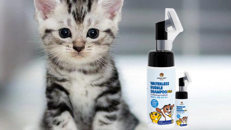 Top 14 loại sữa tắm cho mèo tốt nhất